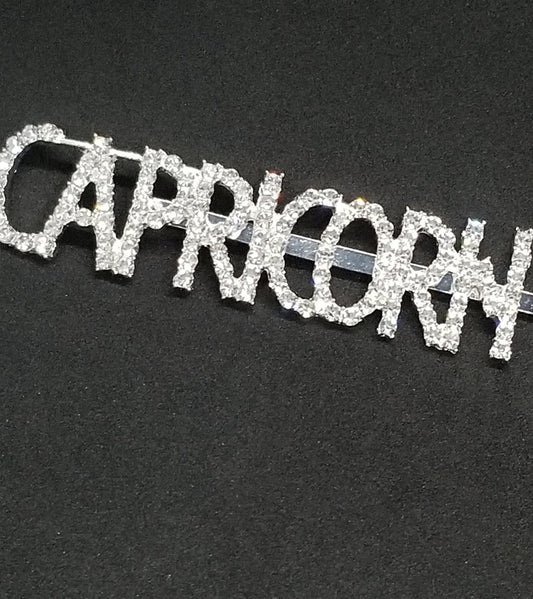 (Capricorn) Diamond Hair Clips